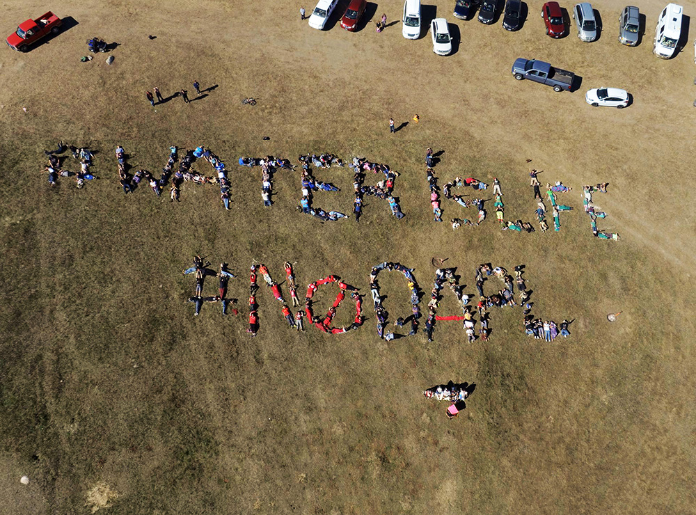 Standing Rock, DAPL, and how #WaterIsLife for all Beings including Dolphins & Whales